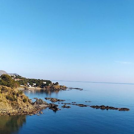 Ferienwohnung Ca La Nuri Pis 4 Vistas Al Mar Llança Exterior foto